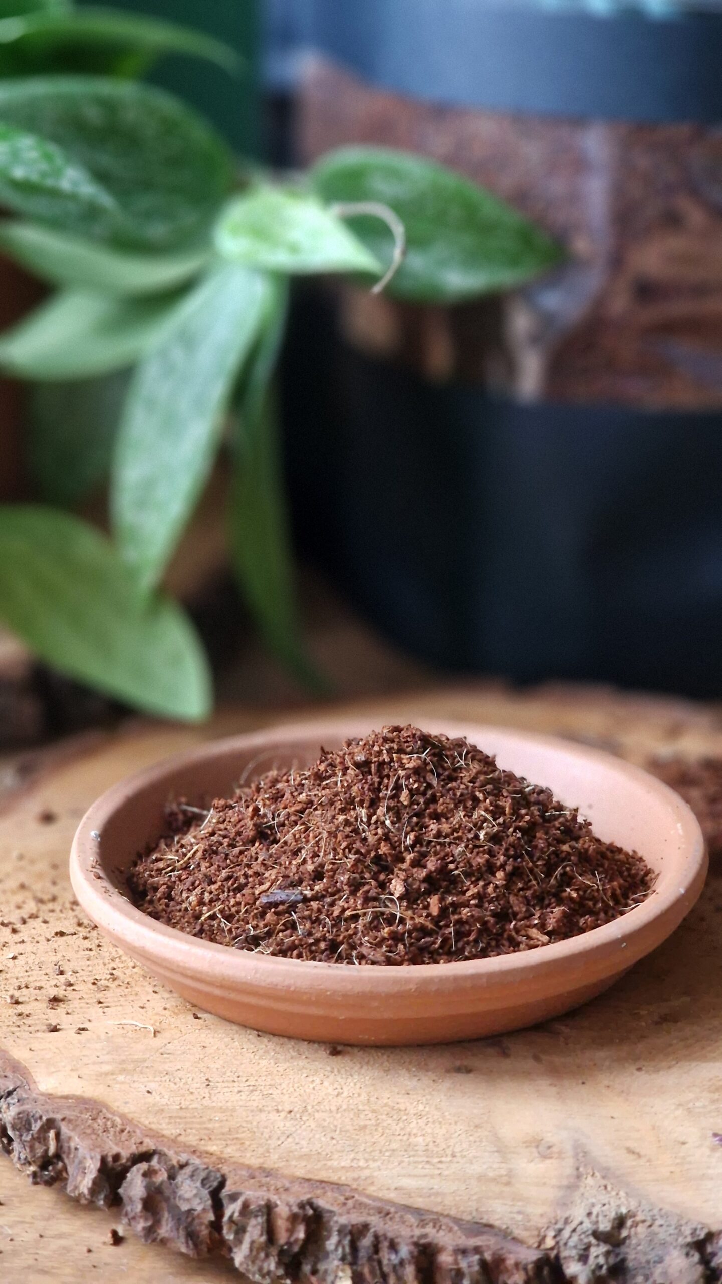 Hieno kookoskuitu AVATTU by DigiGarden - Image 4