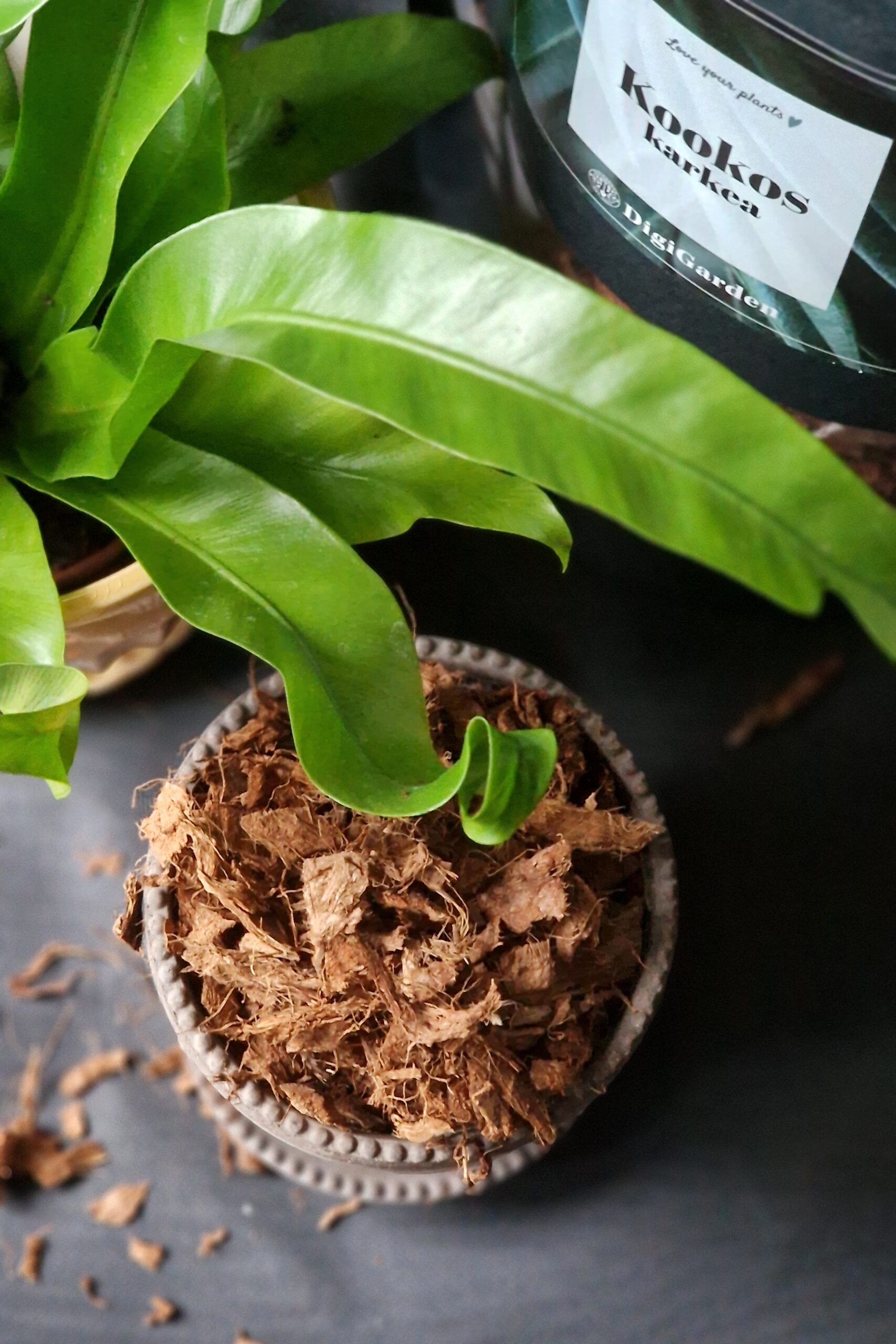 Karkea kookoskuitu AVATTU by DigiGarden - Image 4