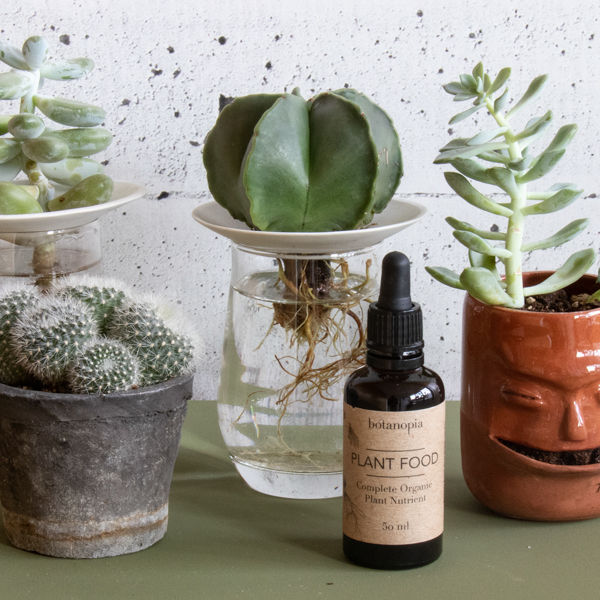 Luomulannoite pipetillä 50ml - Image 2