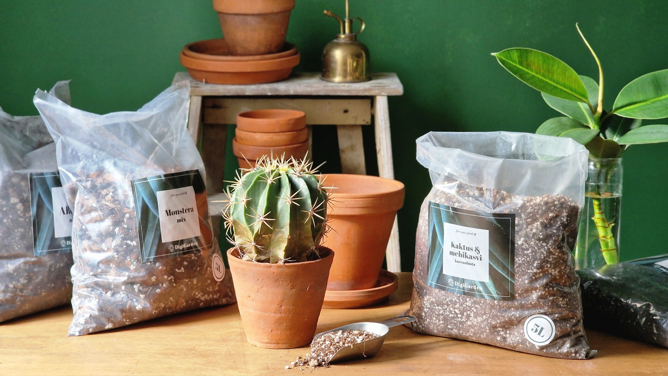 Terracotta-ruukku 4 kokoa - Image 4