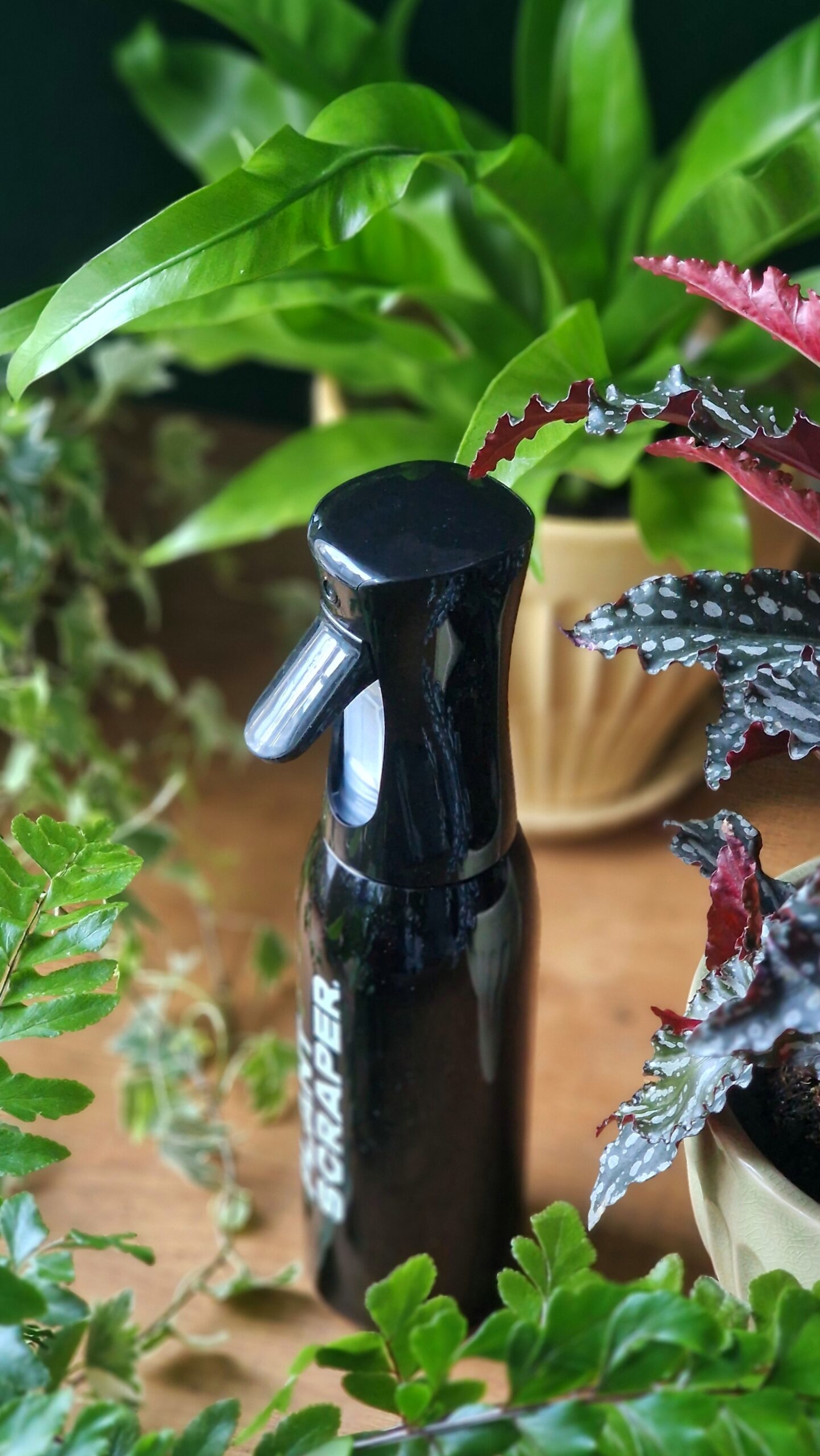 Iso sumutepullo RAIN VIBE 500ml - Image 2