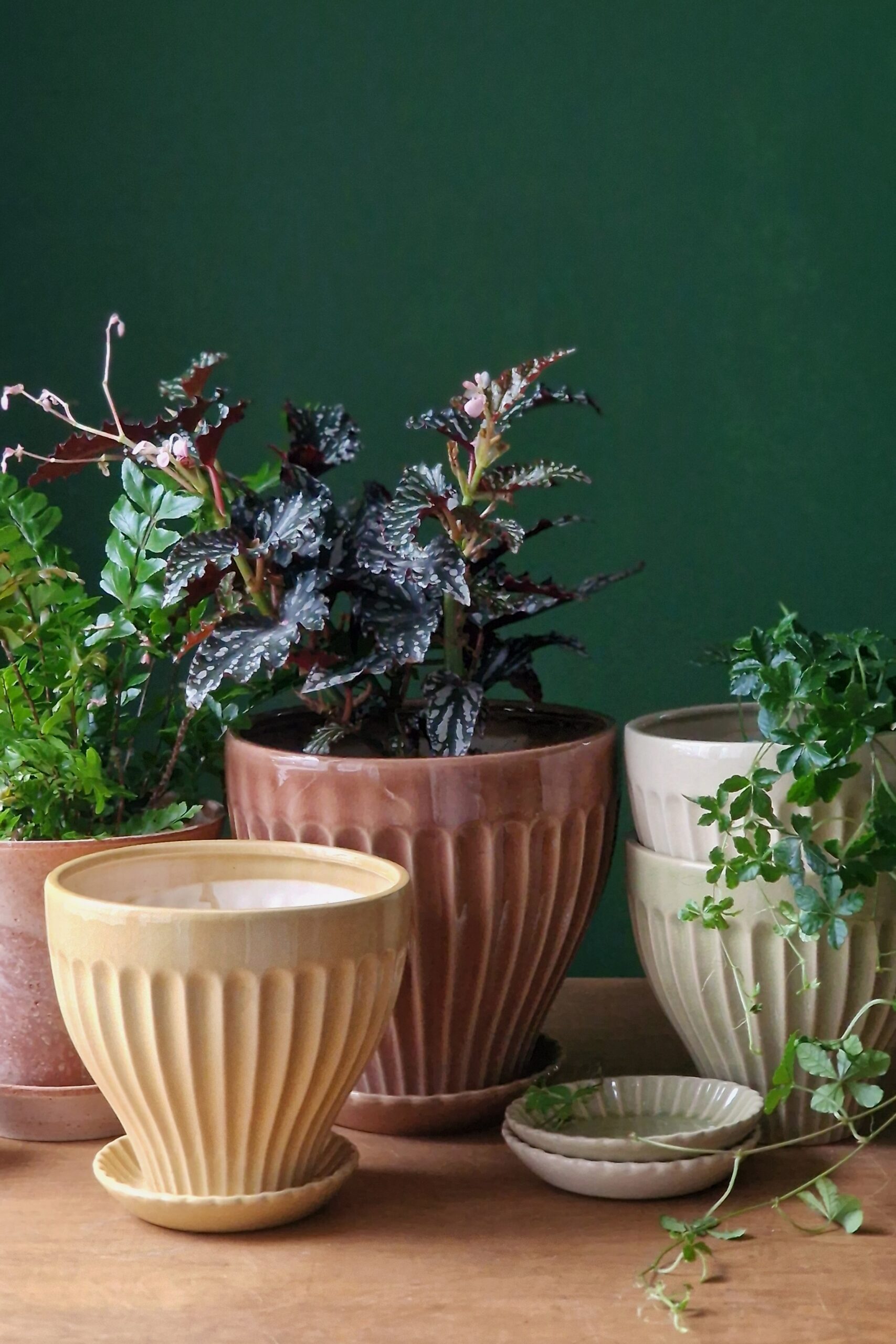 Keraaminen istutusruukku Anna keltainen 17/21cm - Image 3