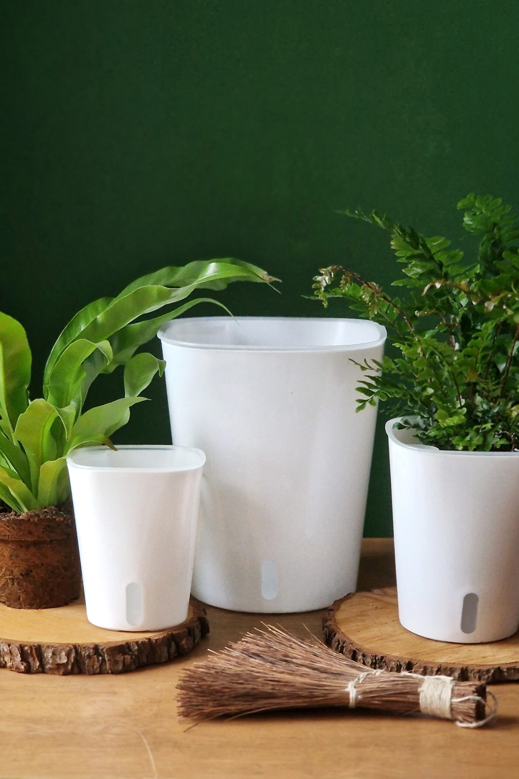 Altakasteluruukku valkoinen