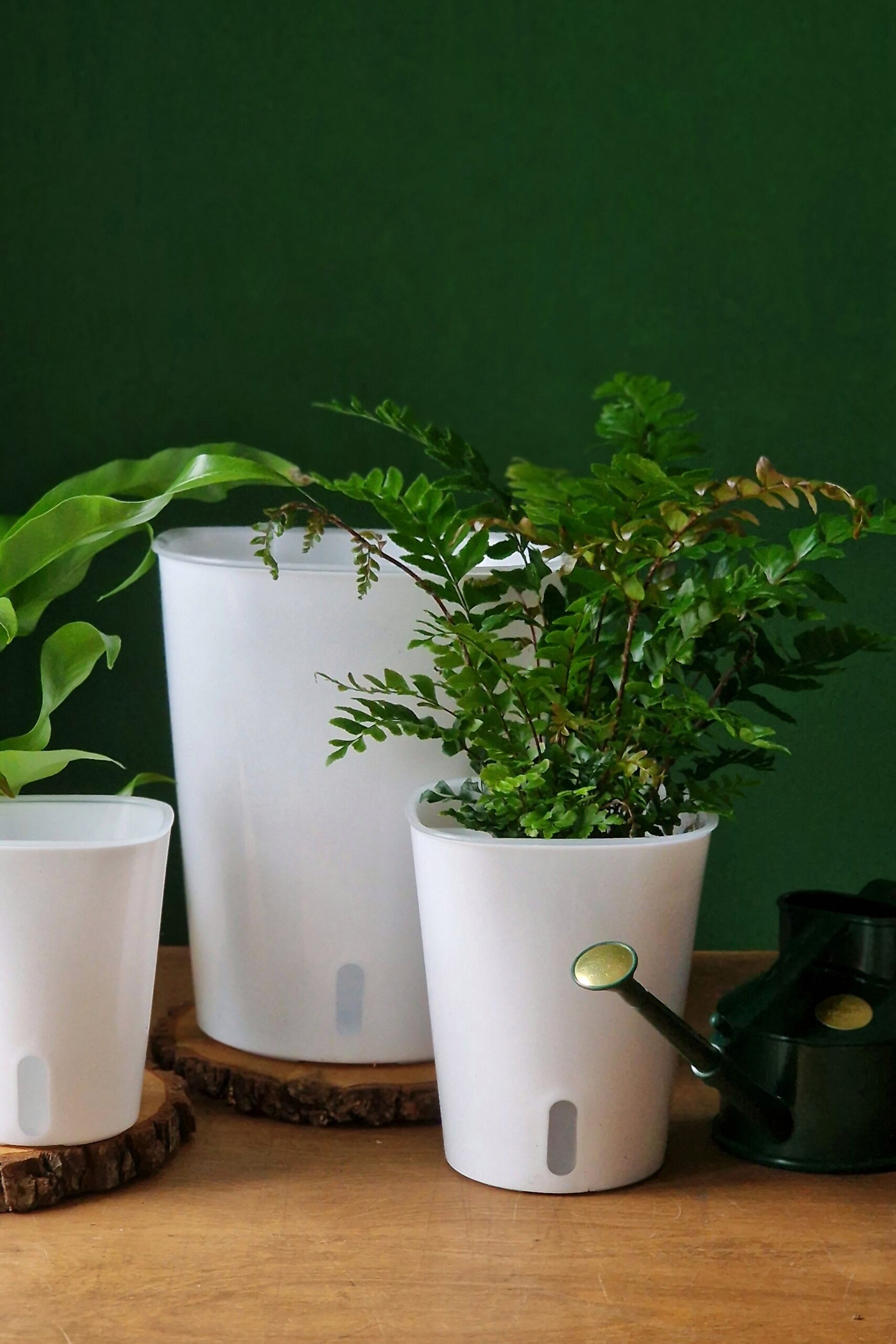 Altakasteluruukku valkoinen - Image 2