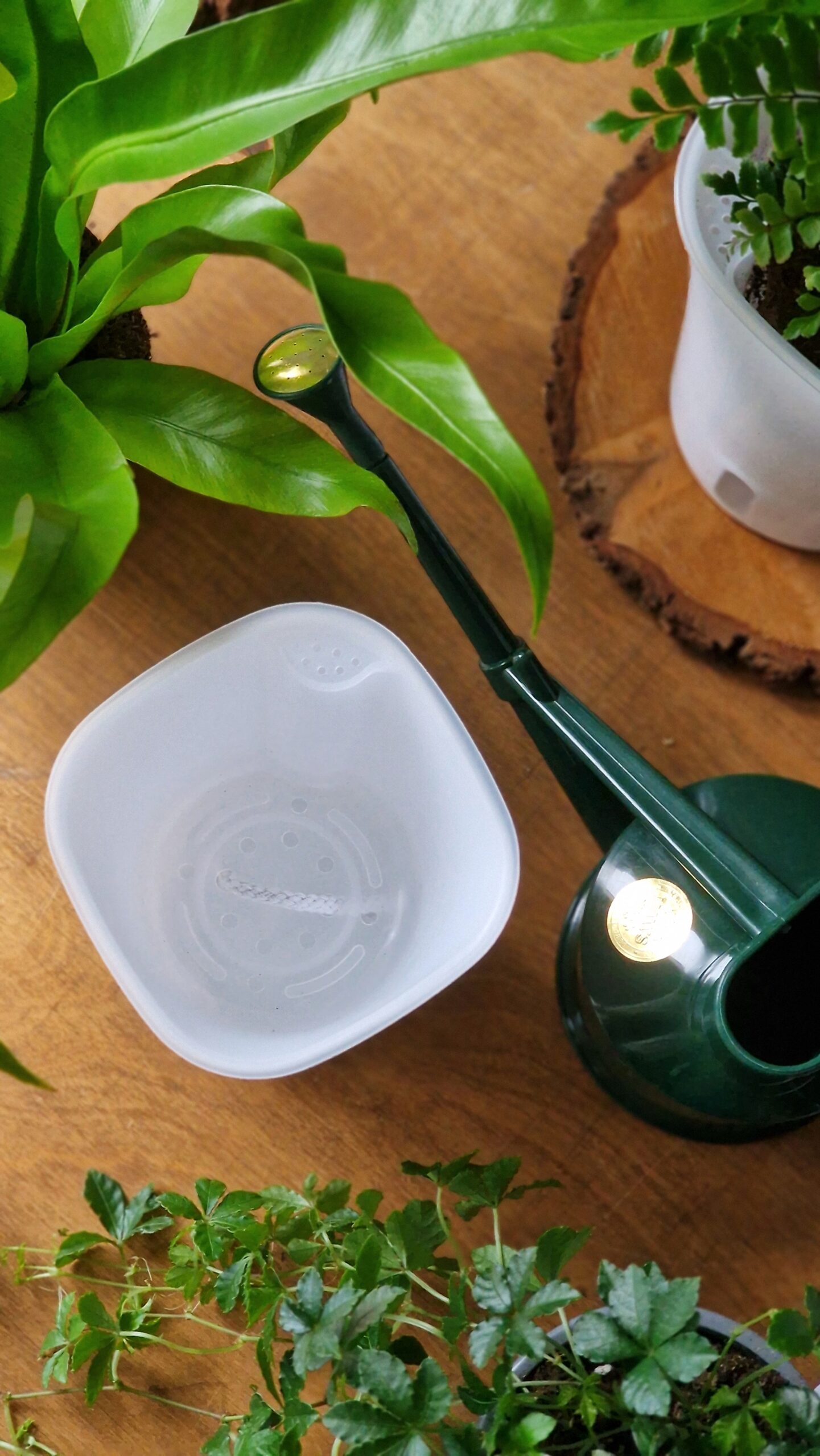 Altakasteluruukku valkoinen - Image 3