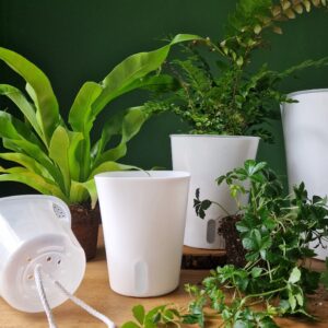 Altakasteluruukku valkoinen 4 kokoa