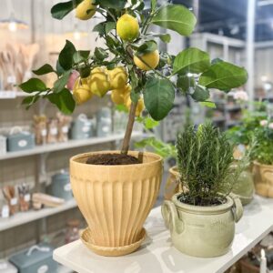 Keraaminen istutusruukku Anna keltainen 17/21cm