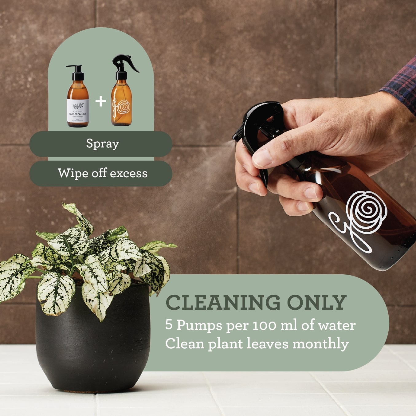 Luonnollinen kasvisaippua lehtien puhdistukseen (oliiviöljypohjainen) 200ml - Image 5