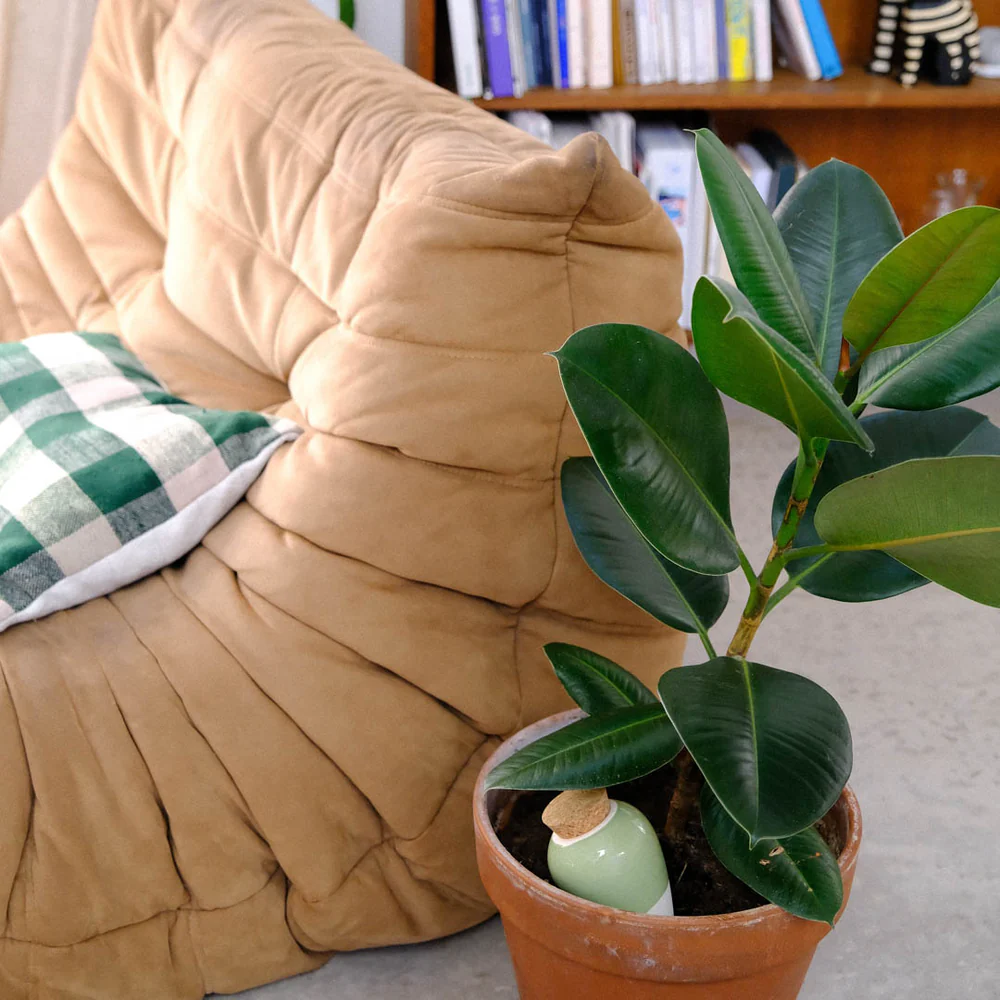 Olla Vihreä - Image 2