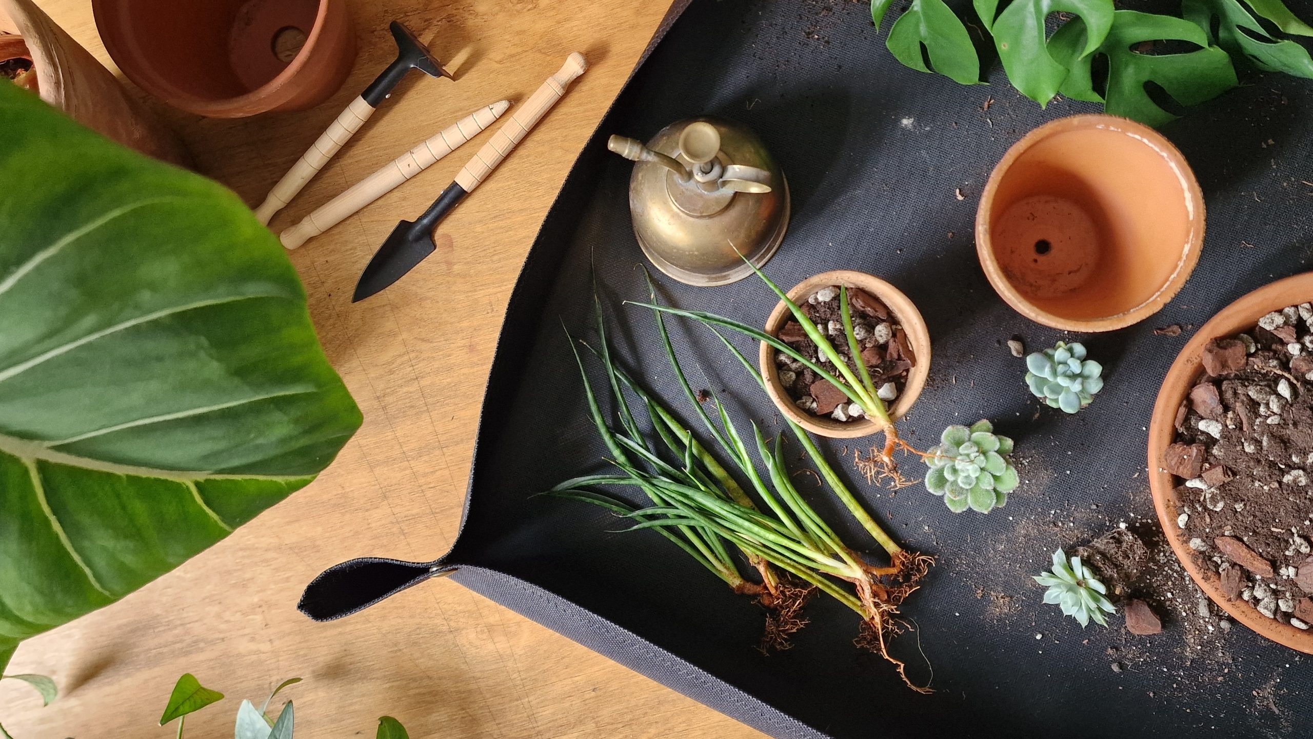 Mullanvaihtomatto by DigiGarden musta L