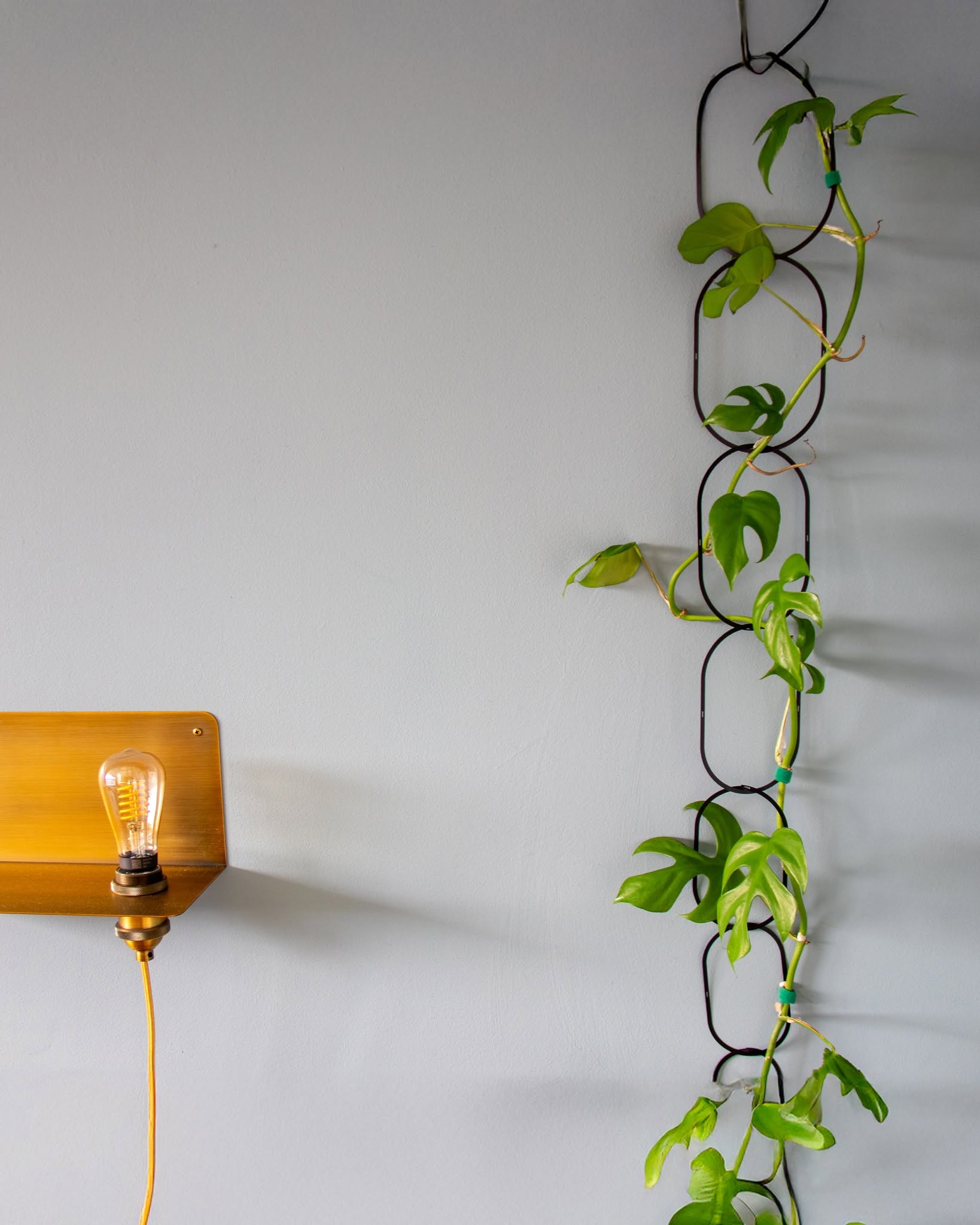 Kasvituki ketju (musta) - Image 2