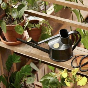 HAWS The Langley Sprinkler black kastelukannu