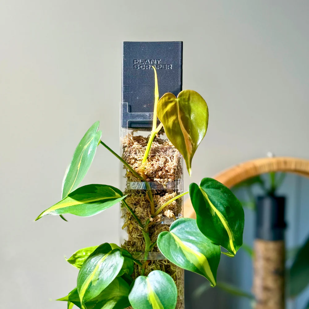 Dripperi edestä avattavaan sammaltolppaan (M/L/XL) - Image 4