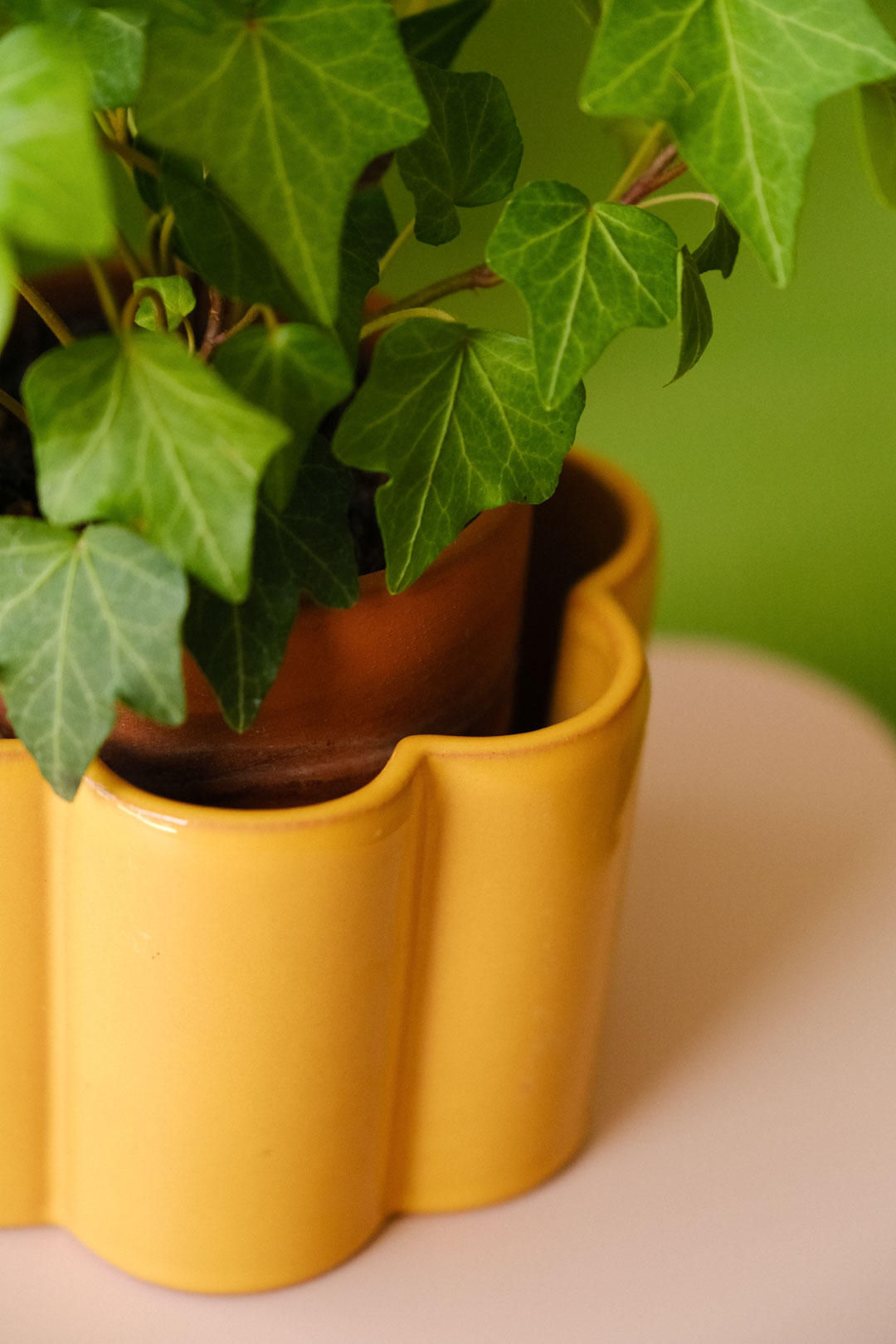 Paulita sinapinkeltainen itsekasteluruukku S - Image 3