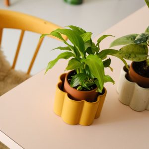 Paulita sinapinkeltainen itsekasteluruukku S