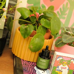 Paula sinapinkeltainen itsekasteluruukku M