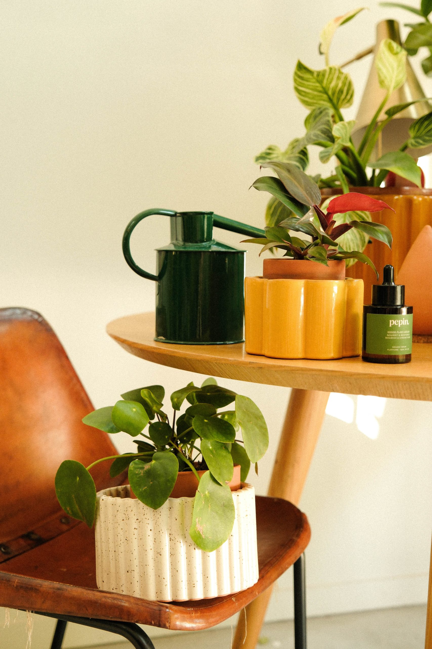 Paula valkoinen itsekasteluruukku M - Image 2