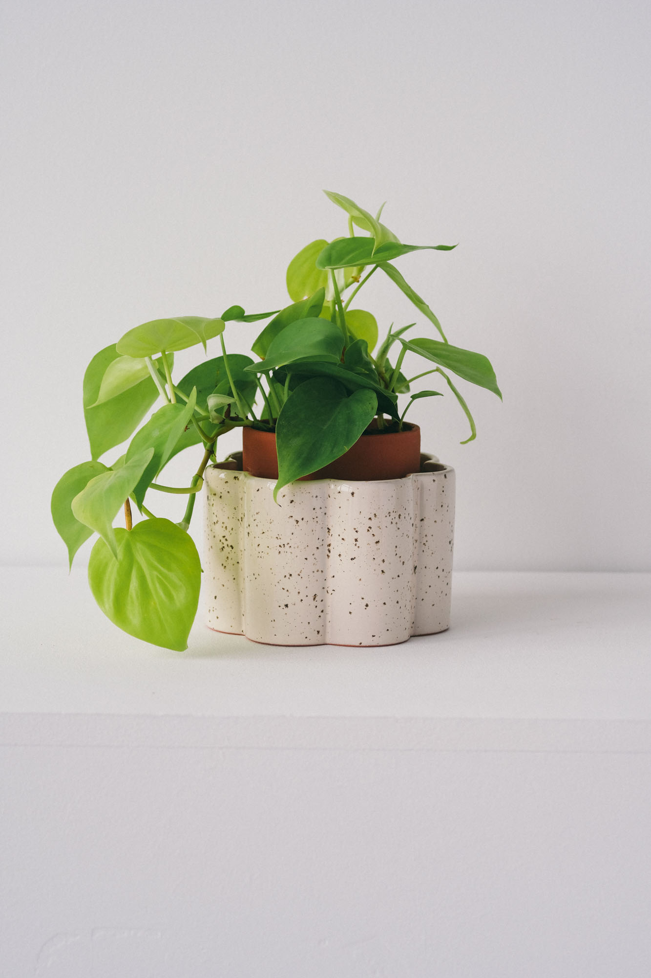 Paulita valkoinen itsekasteluruukku S - Image 2