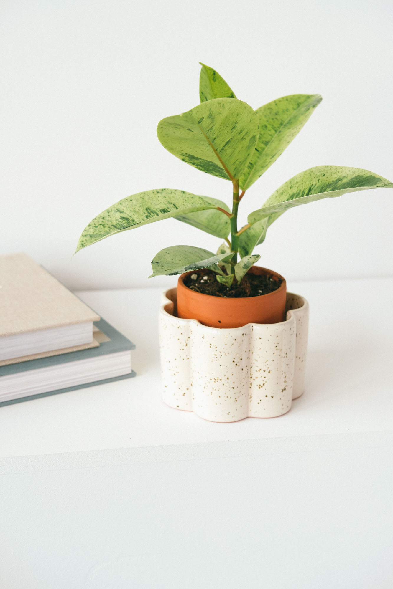 Paulita valkoinen itsekasteluruukku S - Image 3