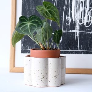 Paulita valkoinen itsekasteluruukku S