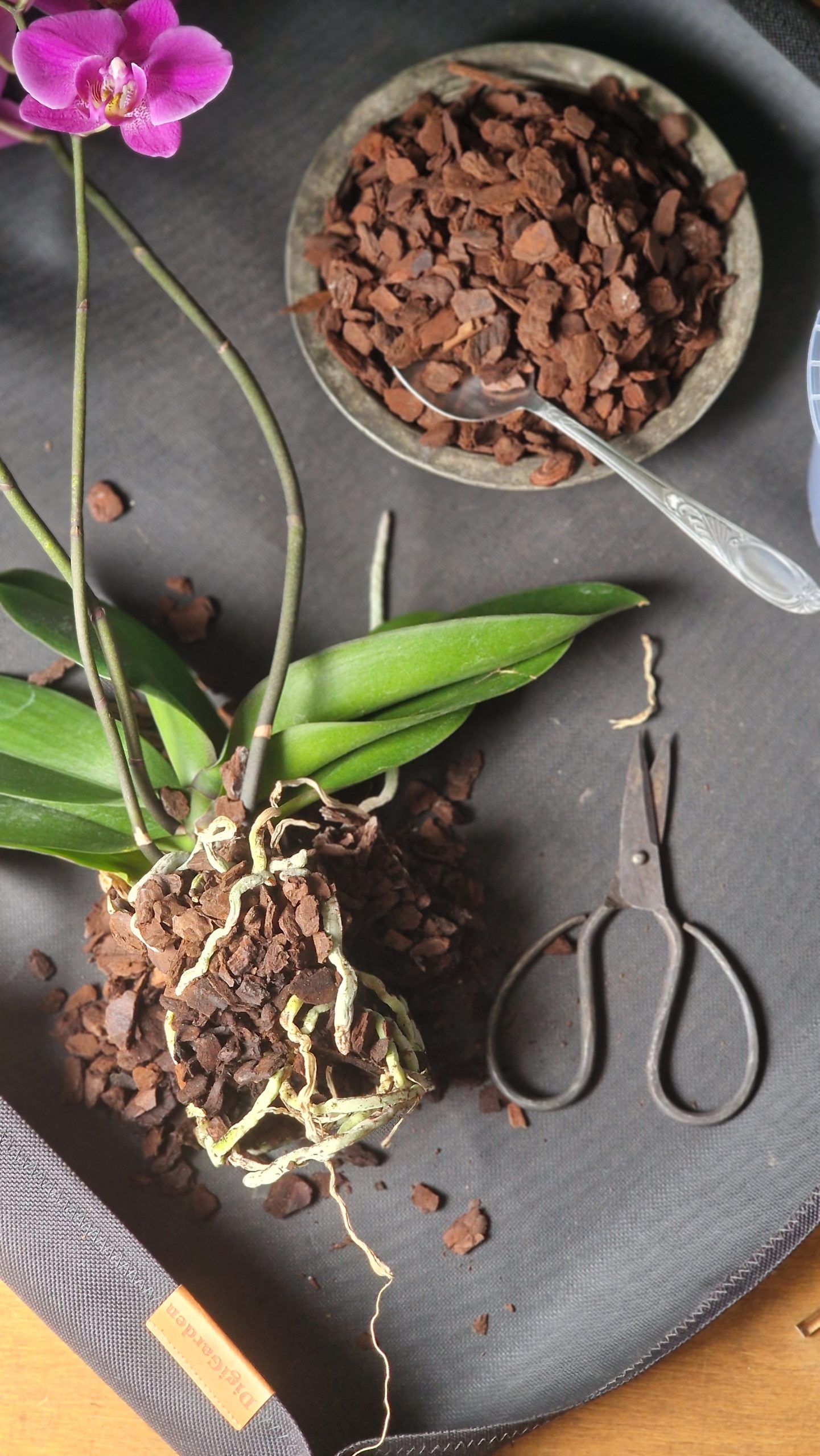 Orchiata Bark orkideakaarna 5L - Image 3