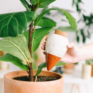 Olla Luonnonvalkoinen
