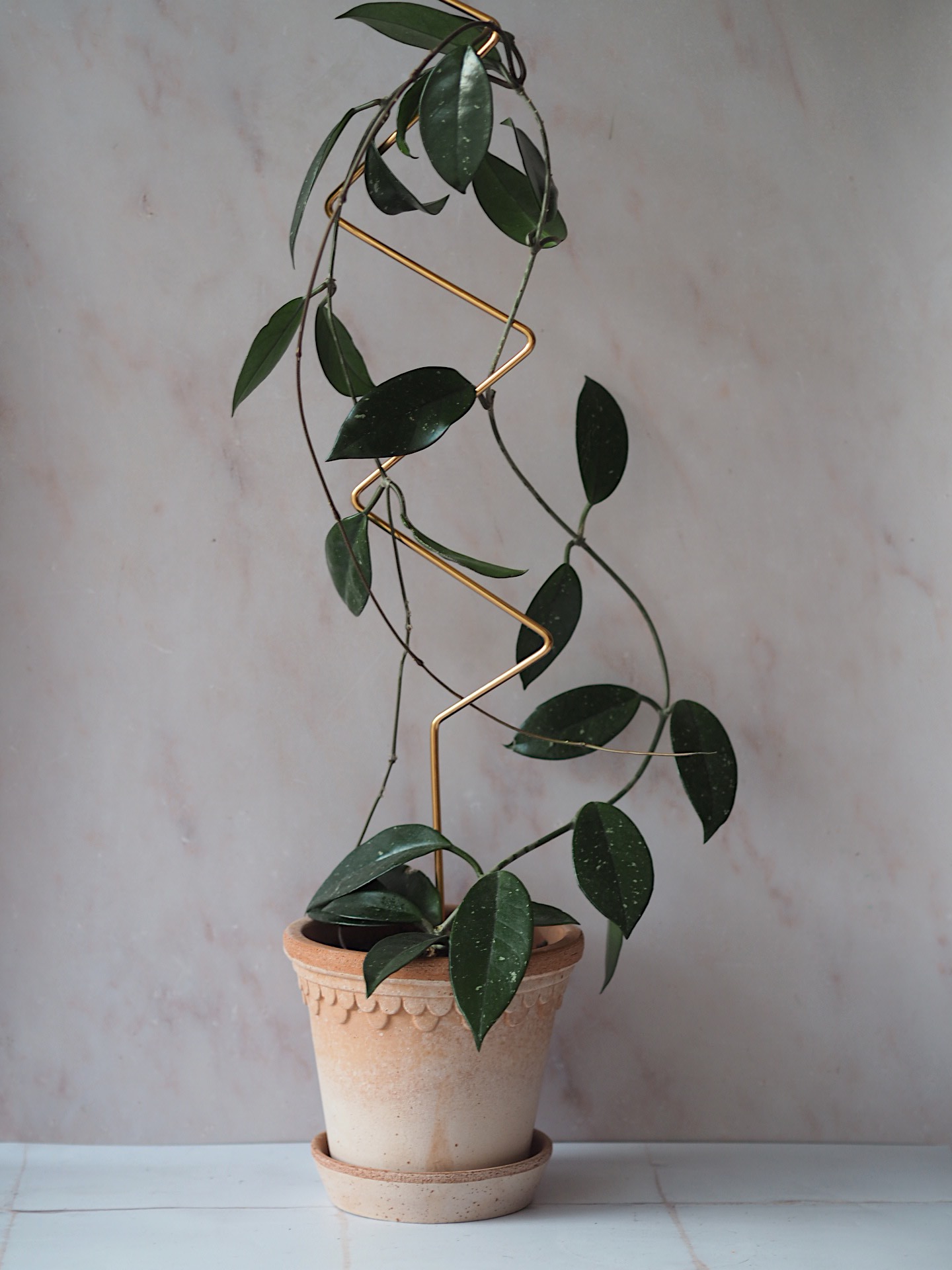 UUTUUS! Kasvituki ZigZag 70 cm (kulta) - Image 2